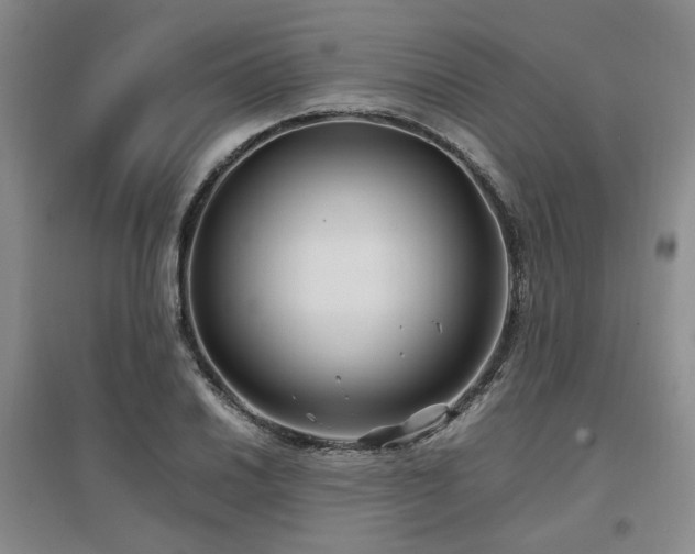 X0000097501030200802221440