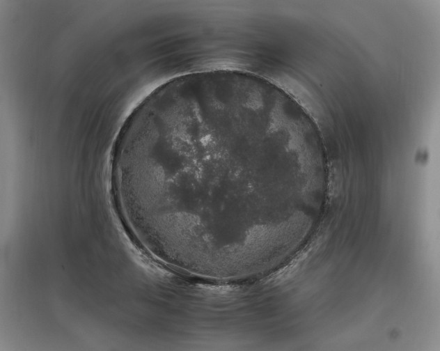 X0000097501031200802221440