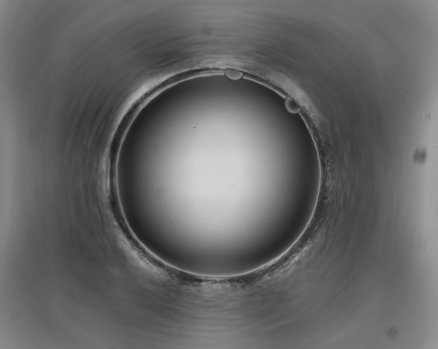 X0000097501032200802221440