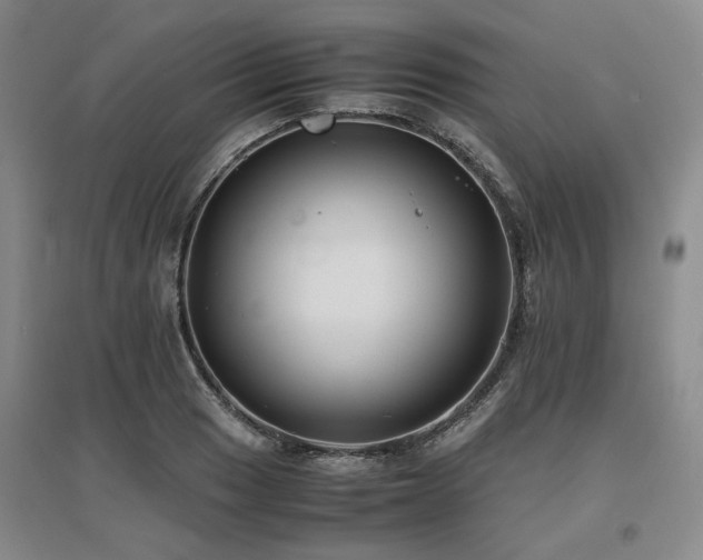 X0000097501033200802221440