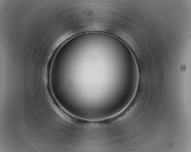 X0000097501034200802221440