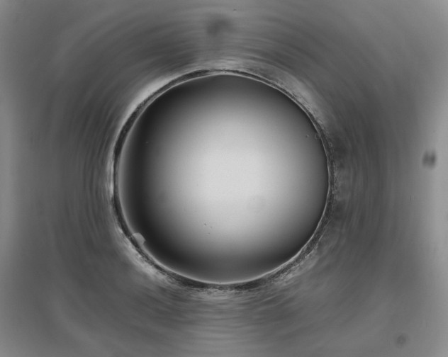 X0000097501036200802221440