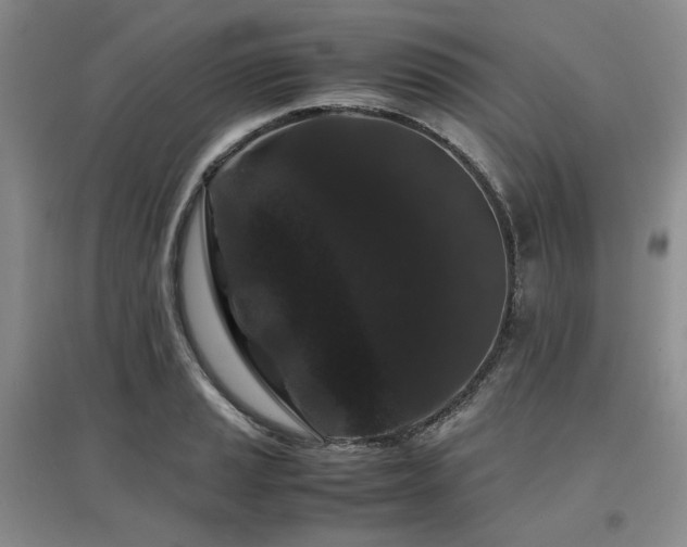 X0000097501037200802221440