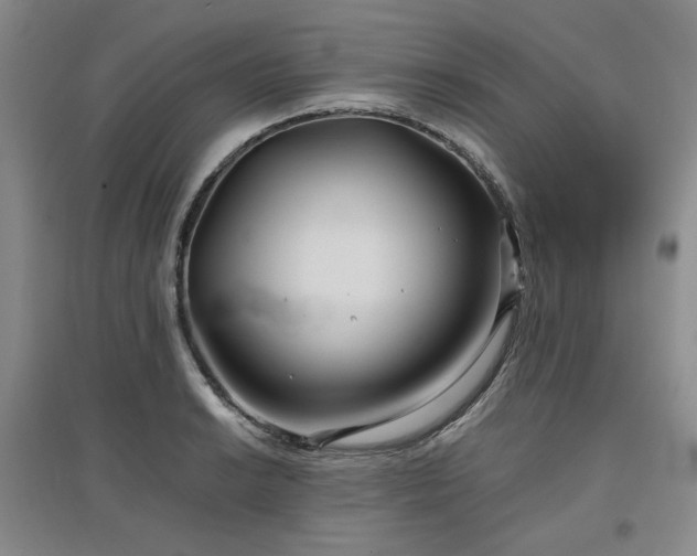 X0000097501038200802221440