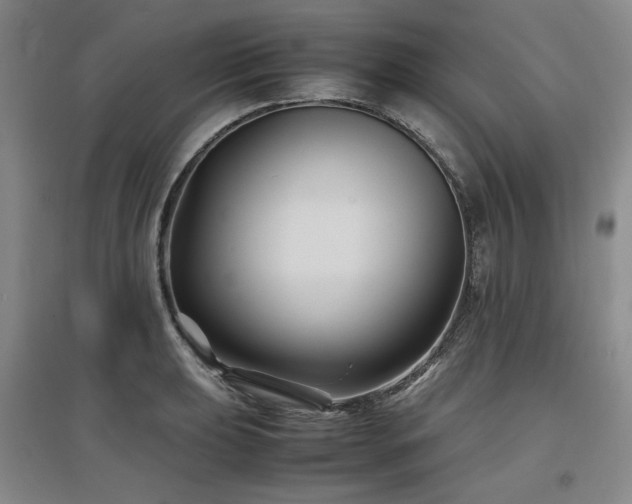X0000097501039200802221440