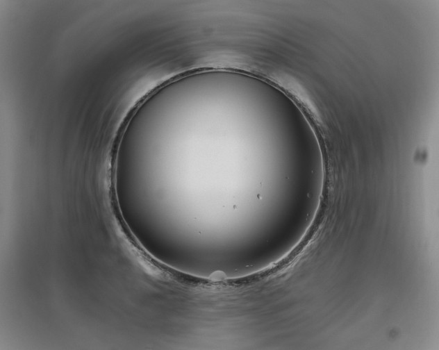 X0000097501040200802221440