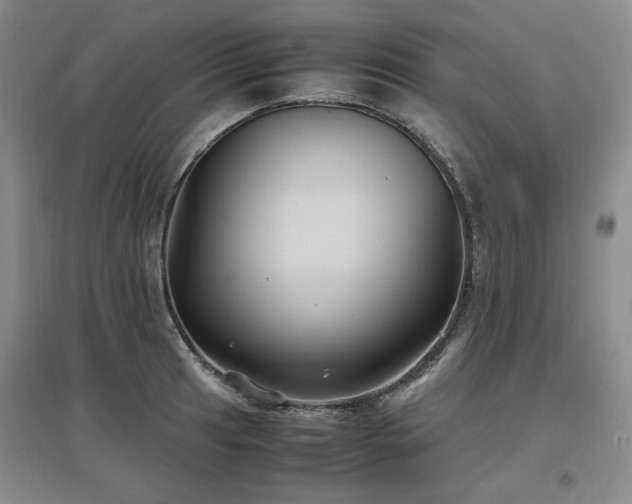 X0000097501041200802221440