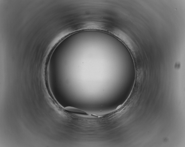 X0000097501043200802221440