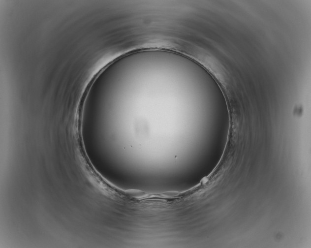 X0000097501044200802221440