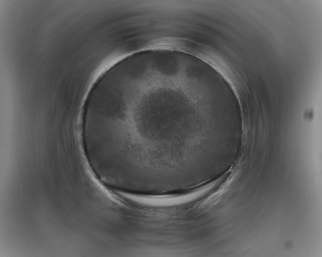 X0000097501045200802221440