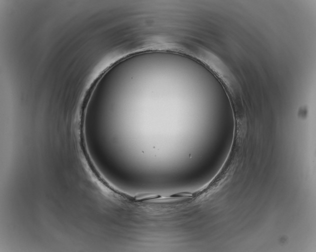 X0000097501046200802221440