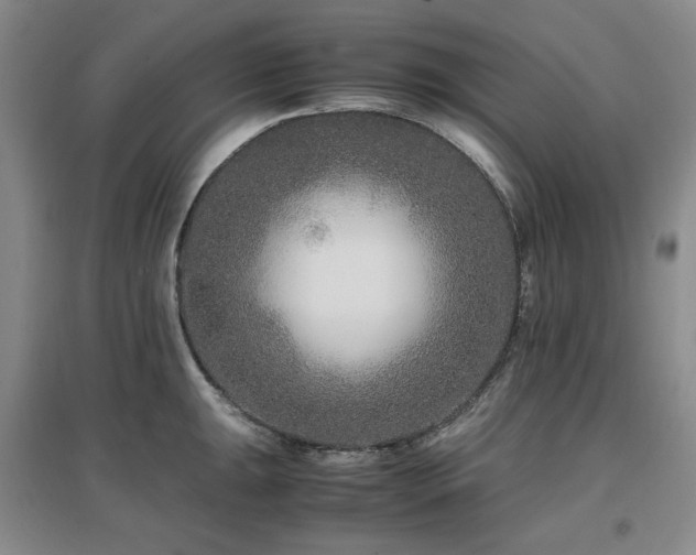 X0000097501047200802221440