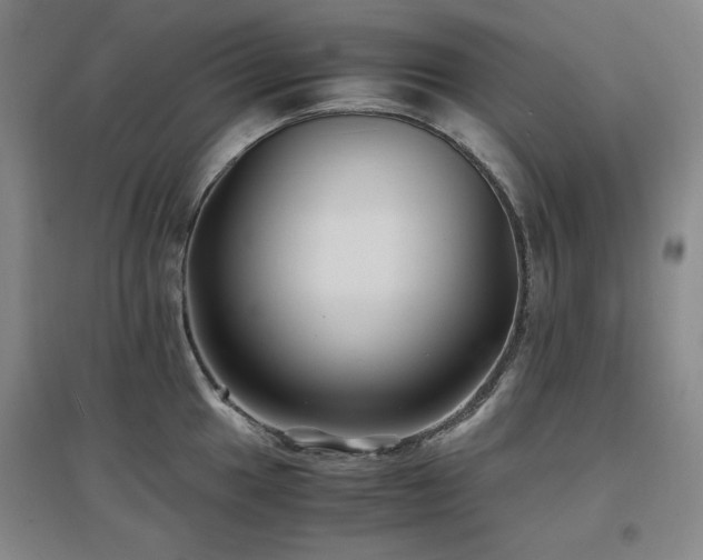 X0000097501049200802221440