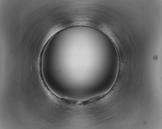 X0000097501050200802221440