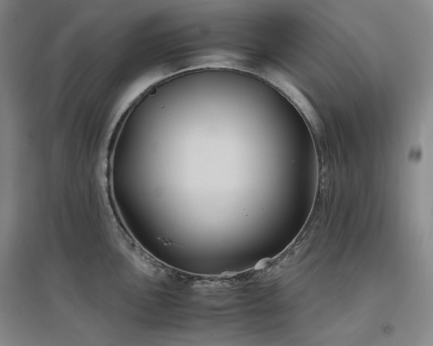 X0000097501051200802221440