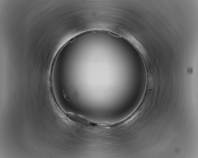 X0000097501052200802221440