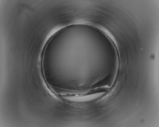 X0000097501053200802221440