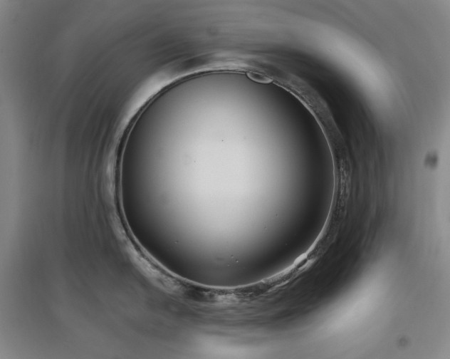 X0000097501054200802221440