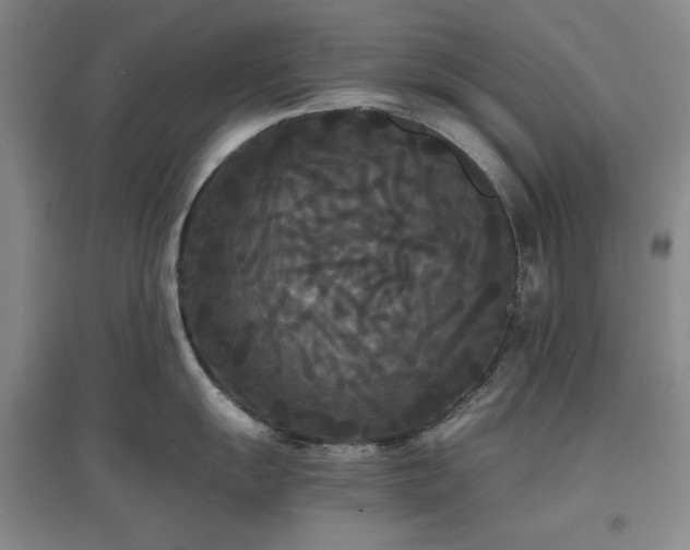 X0000097501055200802221440