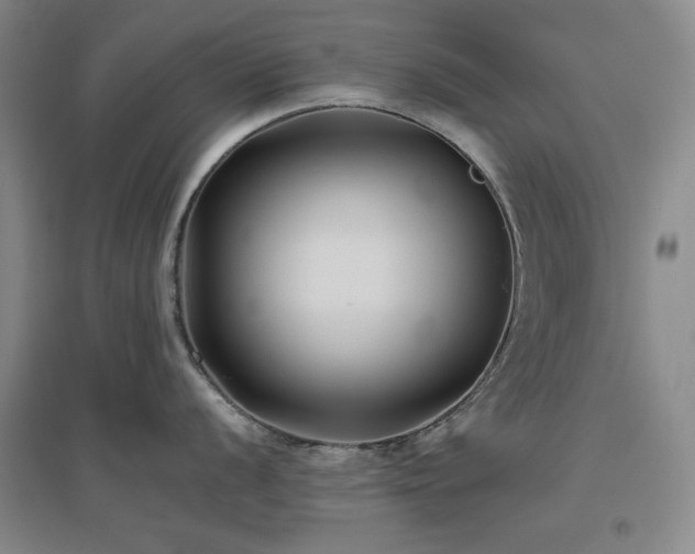 X0000097501056200802221440