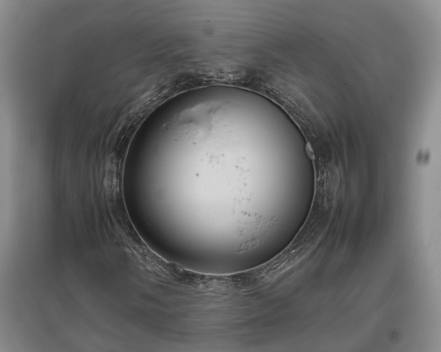 X0000097501058200802221439
