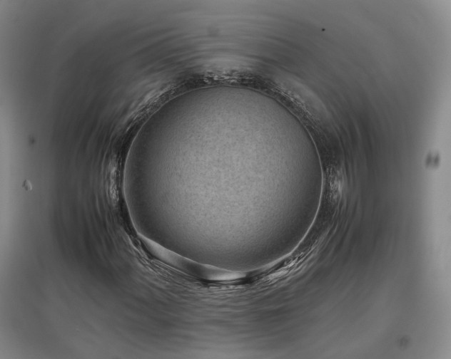 X0000097501060200802221439