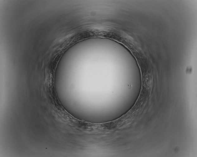 X0000097501061200802221439