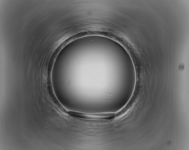 X0000097501065200802221439