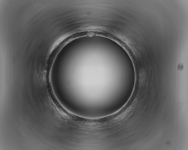 X0000097501066200802221439
