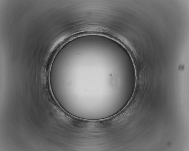 X0000097501067200802221439