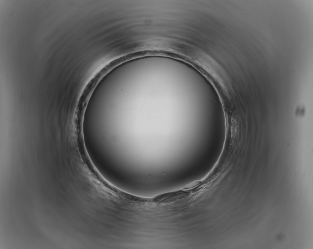 X0000097501068200802221439
