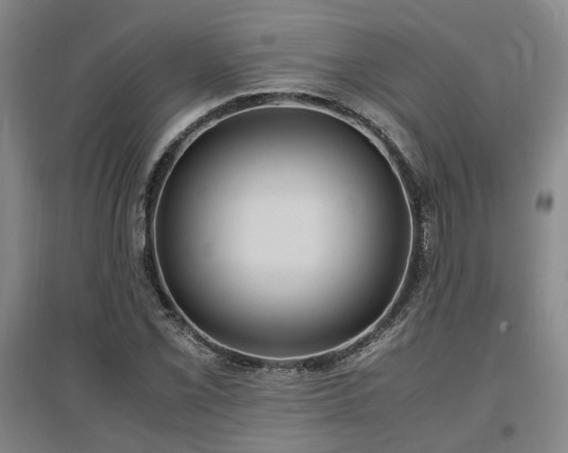 X0000097501069200802221439