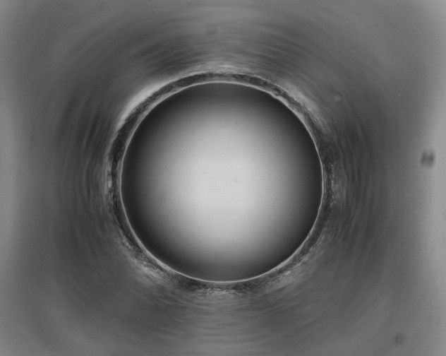 X0000097501070200802221439