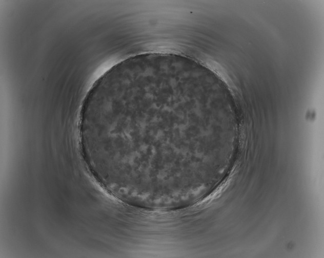 X0000097501071200802221439