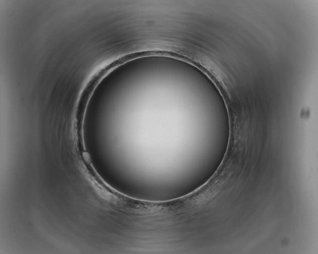 X0000097501072200802221439