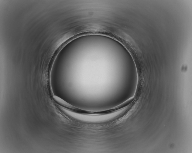 X0000097501073200802221439