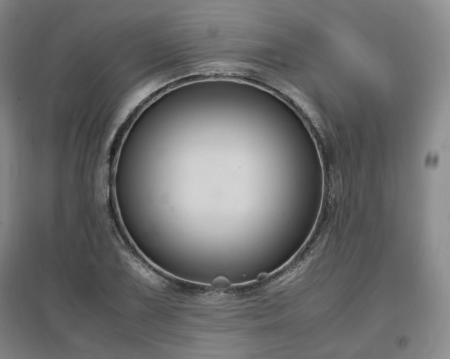 X0000097501075200802221439