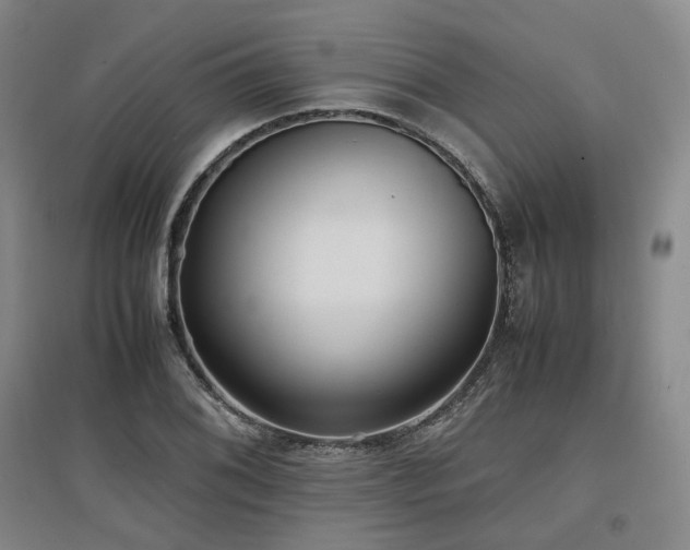 X0000097501076200802221439