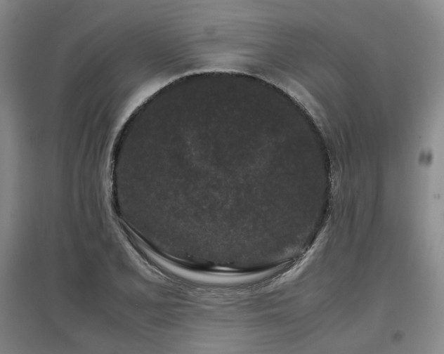 X0000097501077200802221439