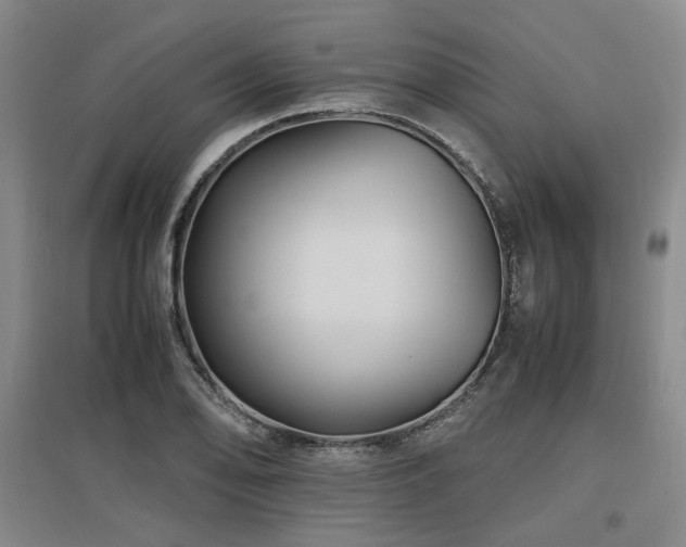 X0000097501078200802221439