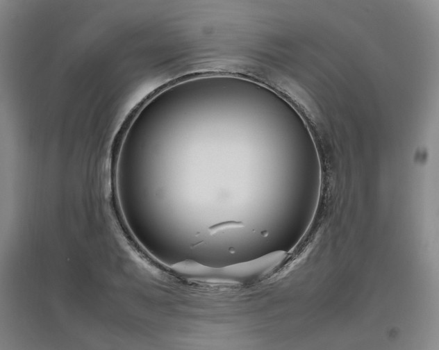 X0000097501079200802221439