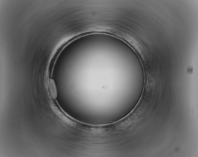 X0000097501080200802221439