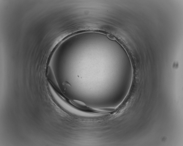 X0000097501081200802221439