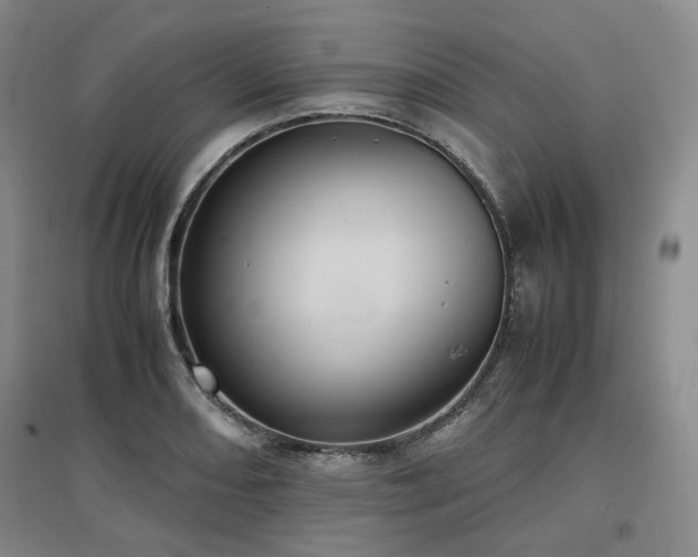 X0000097501082200802221439