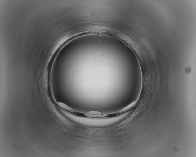 X0000097501083200802221439