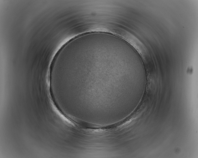 X0000097501084200802221439