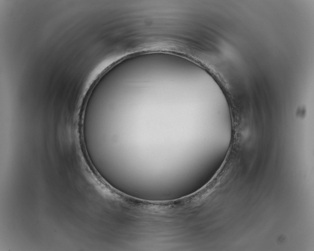 X0000097501086200802221439