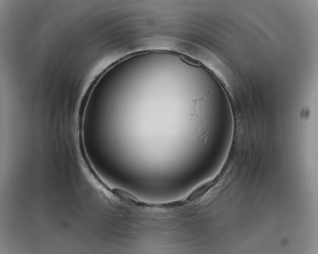 X0000097501088200802221439