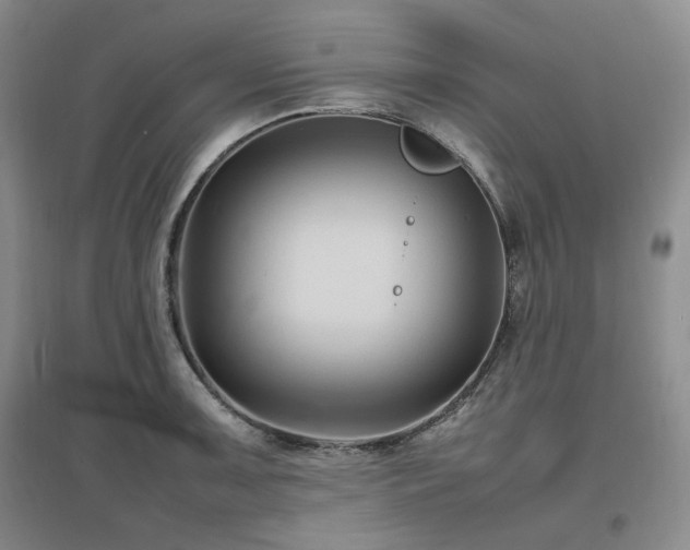 X0000097501091200802221439