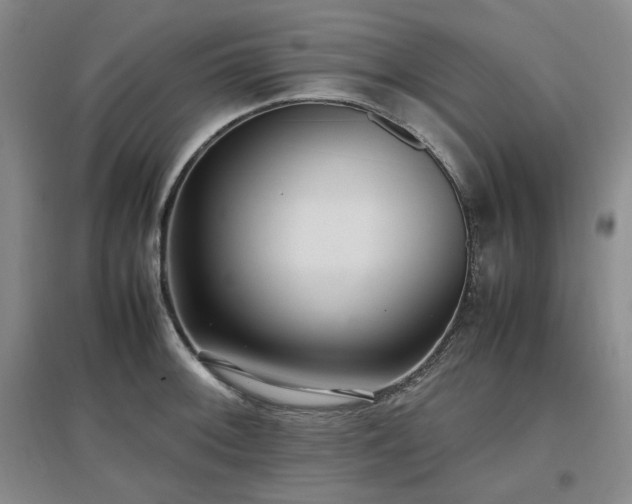 X0000097501092200802221439